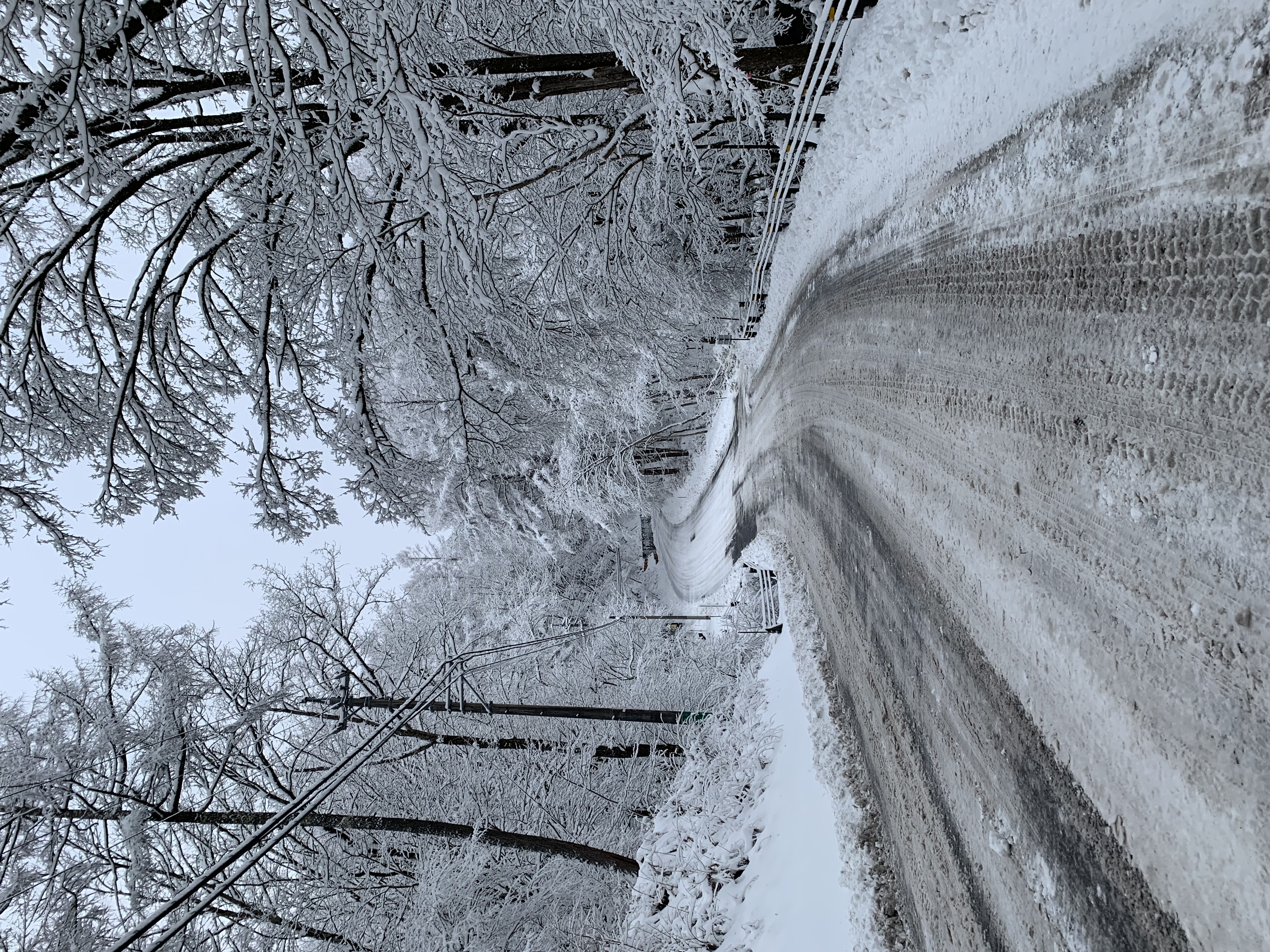 軽井沢のホテルと英語塾の仕事を掛け持ちしていた頃に歩いた雪道
