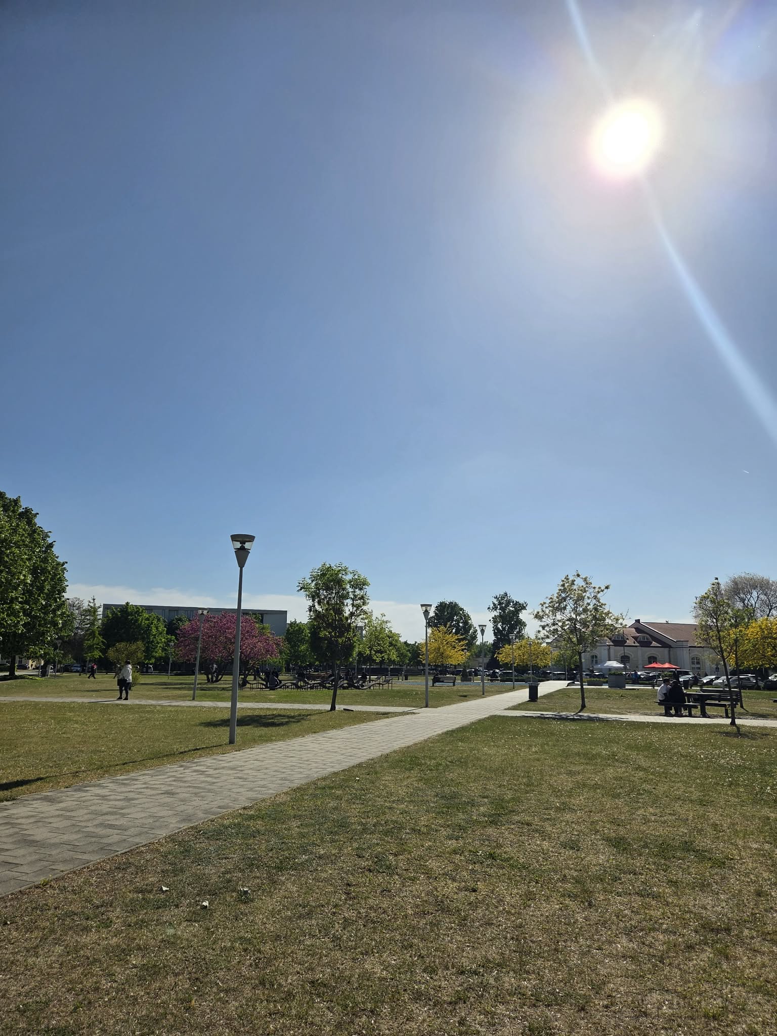 University of Debrecen周辺の屋外風景